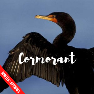 Cormorant Wireless Originals Audio Drama