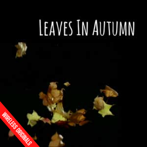 Leaves in Autumn Wireless Original Audio Drama